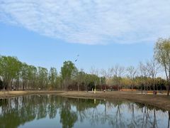-东郊湿地公园