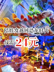 -恐龙探索乐园(磁器口店)
