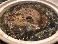 -丁老爷子苏香圆