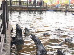 -华夏文旅海洋公园