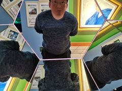 -天津梵高星空艺术馆(天河城旗舰店)