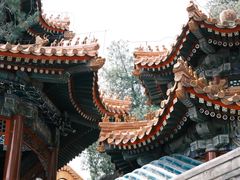 -颐和园