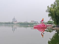 -莲花池公园