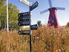 -亿利库布其七星湖沙漠生态旅游区