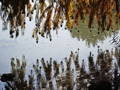 -浙江农林大学(东湖校区)