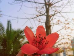 -白鹭洲公园