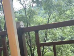 -巴倒烫陆派重庆火锅(南山店)