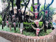 -云南民族村