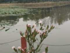 -思念果岭悦温泉