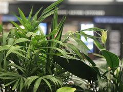 -聚园面庄(新光天地店)