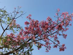 -风云岭森林公园