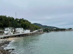 -新金盛·海鲜酒楼(盐田店)