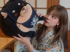 -豆柴町-柴犬主题狗咖(红鼎国际C座店)