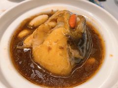 红烧鱼唇-肆月河豚·新淮扬(金融街店)