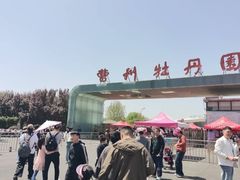 -曹州牡丹园