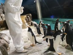 -成都浩海立方海洋公园