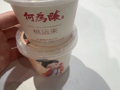-大鸭梨烤鸭(金色漫香店)