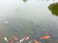 -鱼凫国都大酒店温泉
