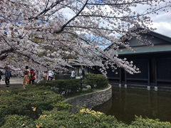 -名古屋城