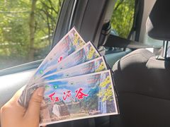 -陕西省红河谷森林公园
