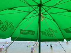 -碧海金沙