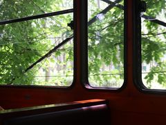 -合肥滨湖国家森林公园