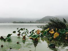 -金牛山大酒店(南北湖风景区店)