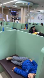 -上海交通大学医学院附属上海儿童医学中心(陆家嘴总院区)