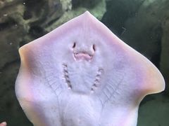 -珠海长隆海洋王国