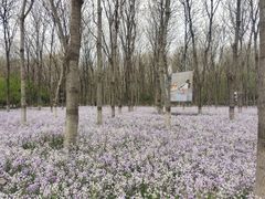 -将府公园