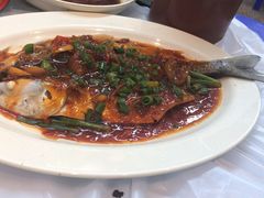 醉翁乌头鱼-陈根记大牌档