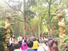 -杭州黄龙洞