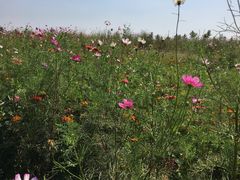 -汉长安城未央宫国家考古遗址公园