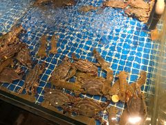 -小时候焗海鲜(鄞州万达店)