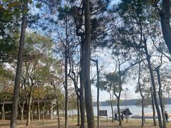 -上海海湾国家森林公园