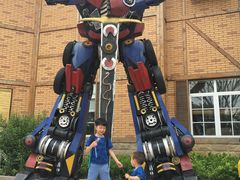 -大塘金香草谷