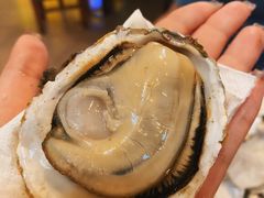 -土蚝·高压锅生蚝(百姓美食街店)
