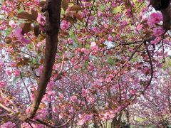 -三福(骡马市步行街店)