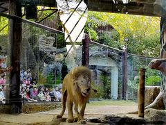 -清迈夜间动物园