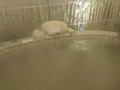 -三江森林温泉度假区