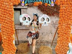 -大连海昌发现王国主题公园