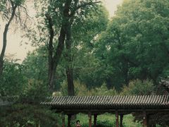-晋祠公园