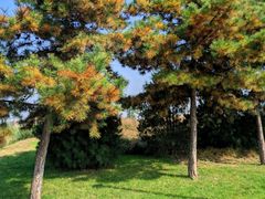 -汉长安城未央宫国家考古遗址公园