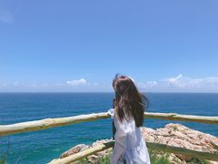 -广东惠东海龟国家级自然保护区