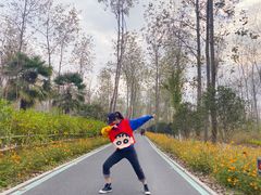 -合肥滨湖国家森林公园