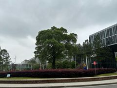 -同济大学(嘉定校区)