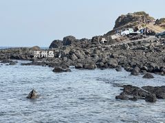 -涉地可支