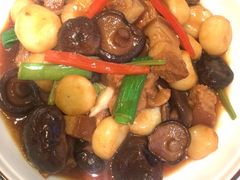 马蹄冬菇焖五花肉-清晖小苑•顺德地方菜(壹海城店)