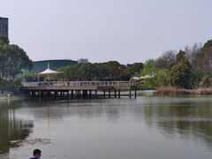 -新江湾城公园