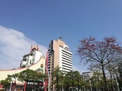 -金砂公园